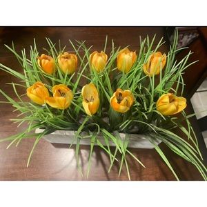 Yellow Tulips Home Decor Tulip Flowers